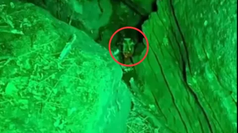 VIDEO | Captan a duende en cámara y es capturado por unos jóvenes; querían ¿anexarlo?