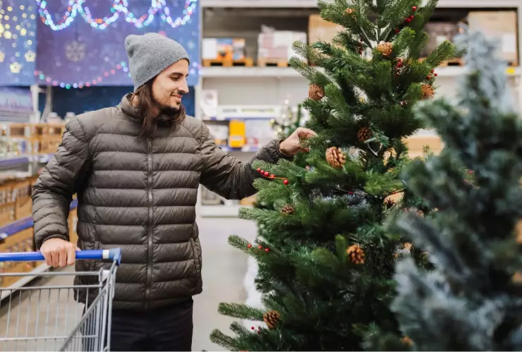 Profeco Árboles de Navidad