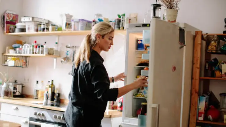 refrigerador.jpg