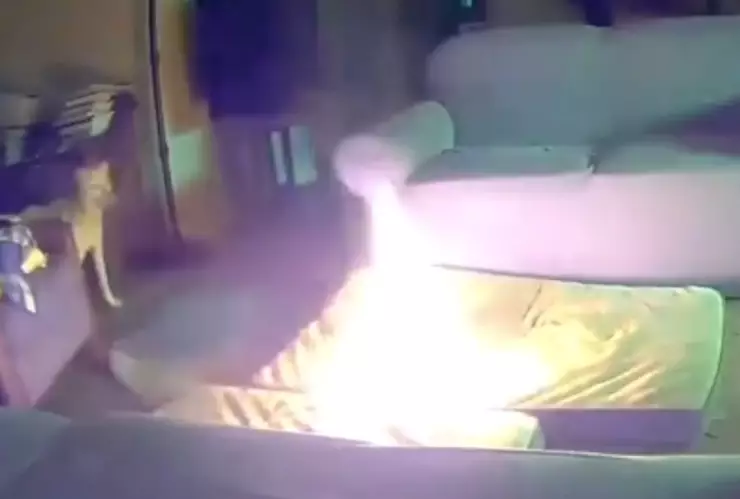 perro provoca incendio video