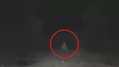 captan en video a La llorona con dos niños agarrados en vereda de Guanajuato.jpg