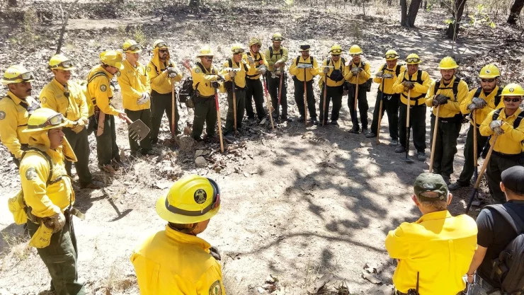 Se reportan 41 incendios forestales activos en 14 entidades del país Conafor