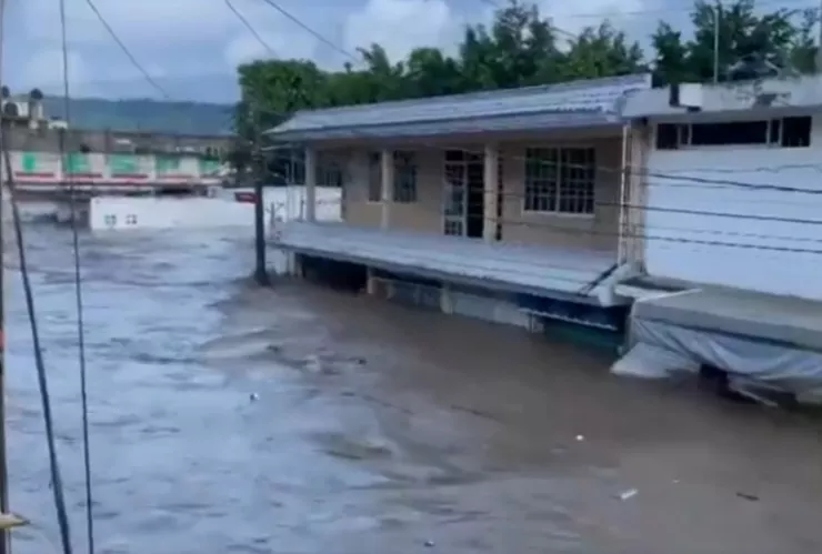 “Se lo estaban comiendo los buitres” Así viven las familias tras las inundaciones en Veracruz.jpg