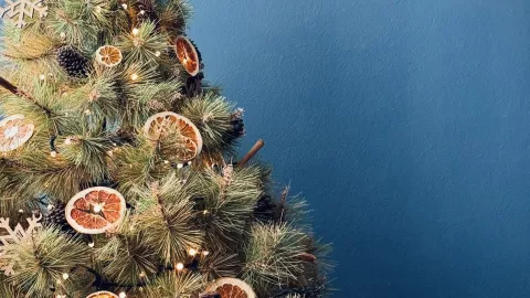 Centros de acopio que recibirán tu árbol natural en Mérida