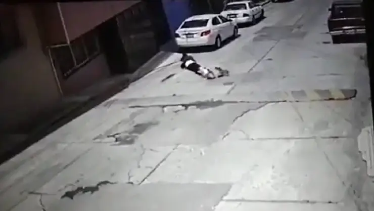 Perro pitbull ataca a abuelita.jpg