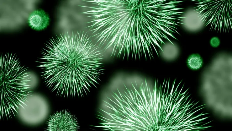 ¿Cómo prevenir el contagio de coxsackie ante brote en BC.jpg