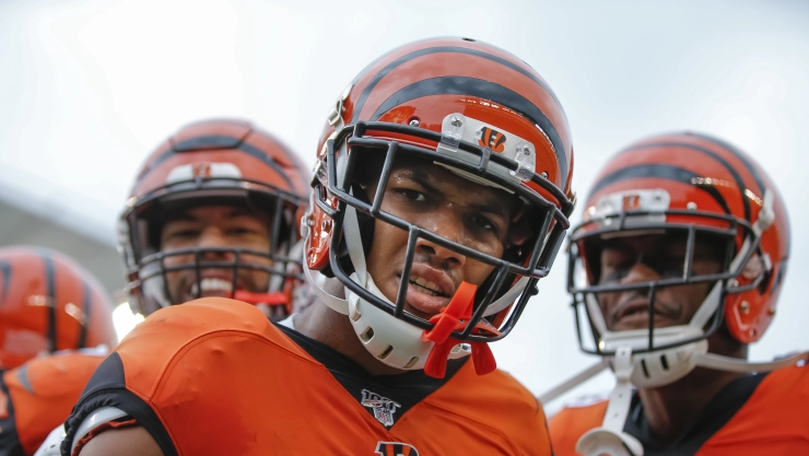 Arizona Cardinals v Cincinnati Bengals