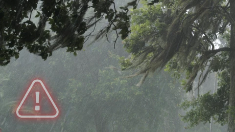 Diseño sin título.png