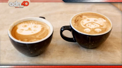 Profeco: Estas son las 5 marcas de café que más te hacen daño