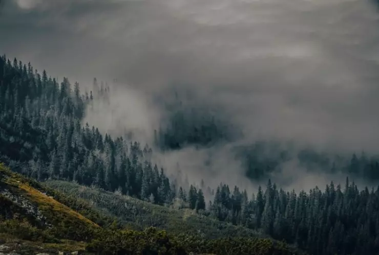 Frente Frío 27 en Zacatecas: el SMN pronostica bajas temperaturas y heladas en los próximos días
