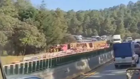 Tráiler de gallinas