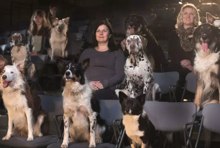 cine perritos tailandia