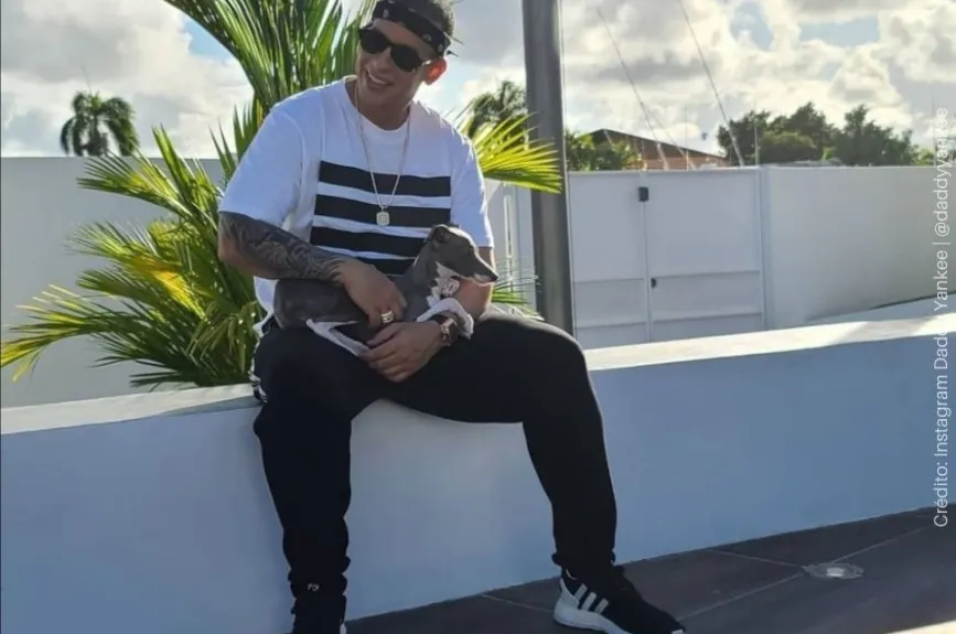 Daddy Yankee Mascota.jpg