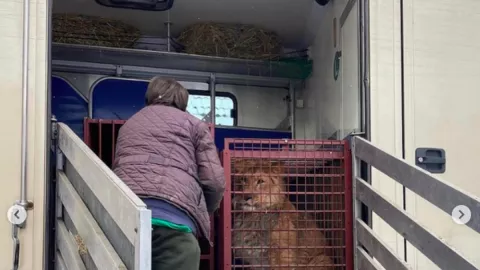 Rescata animales de zoológico en Ucrania