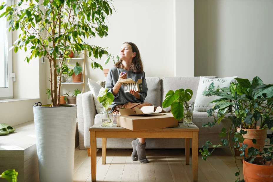 Plantas interior