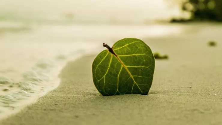 Hay alerta en Puerto Vallarta por tormentas y vientos fuertes este martes 31 de marzo
