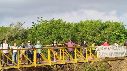 Vecinos de Mazatlán denuncian tala ilegal de mangle. .jpg