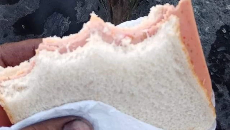 bombero comiendo un sándwich.jpg