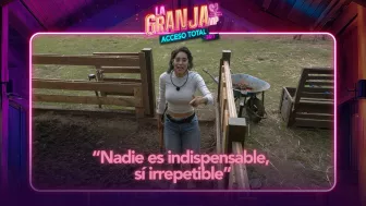 la granja vip kim shantal cerditos