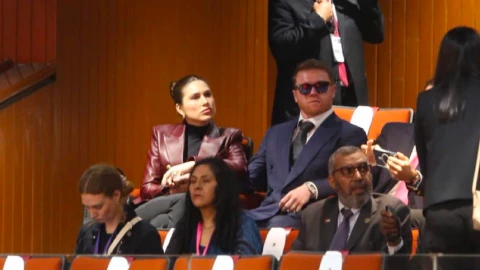 canelo alvarez sheinbaum mexico