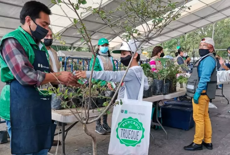 Esto puedes encontrar en el Mercado del Trueque en Tlalpan, CDMX
