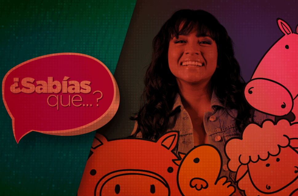 la academia app Paola