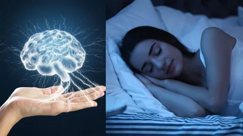 El cerebro considera fundamental descansar por la noche y si esto no ocurre, puede generar cambios extremos.