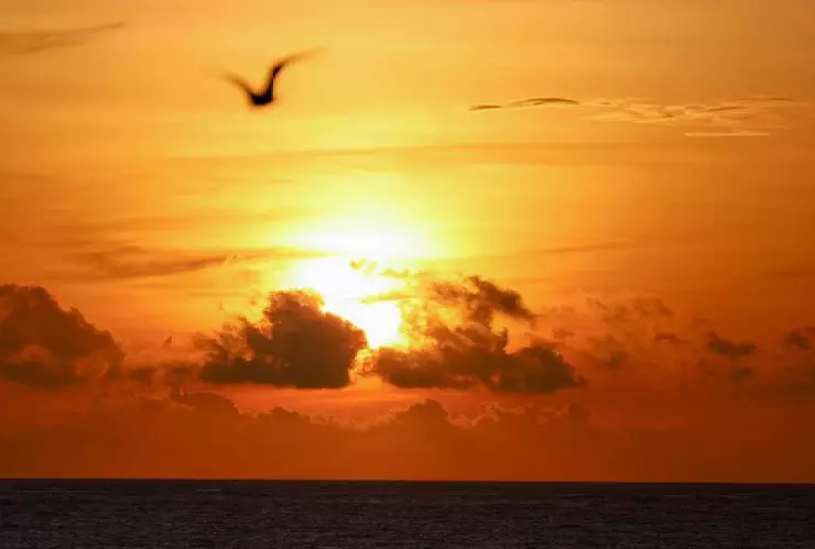 ¡Seguirán las lluvias hoy jueves! Clima en Cancún y Quintana Roo hoy 26 de diciembre.jpg