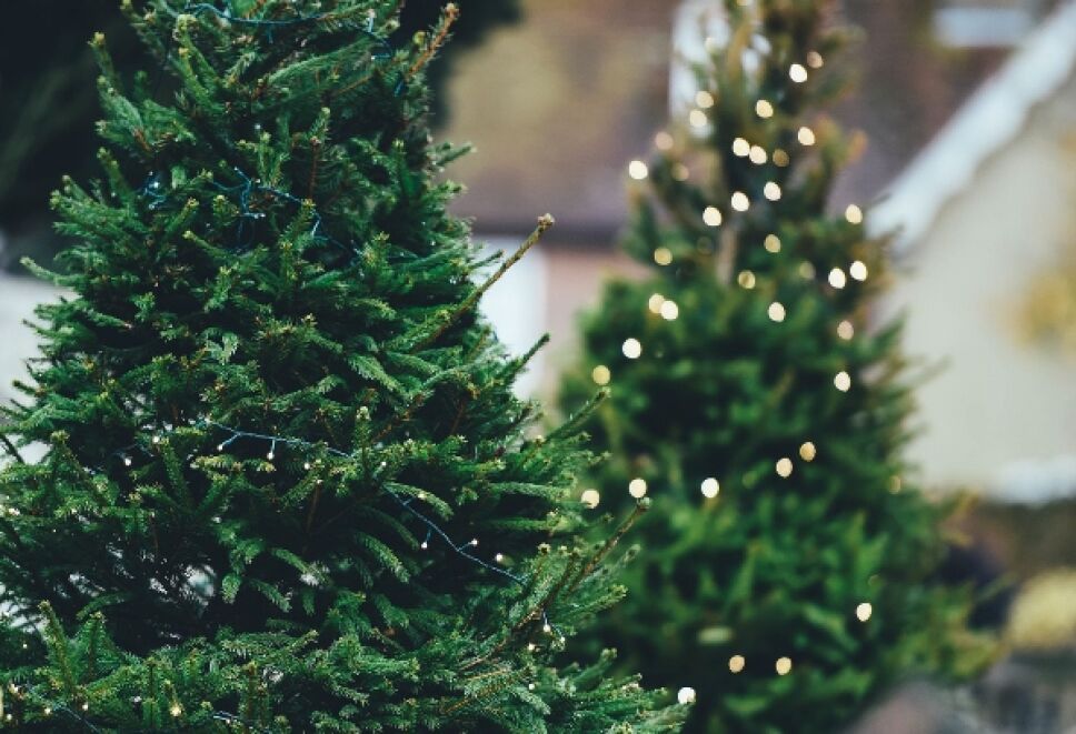 árbol de Navidad