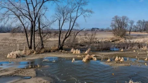 ¡Alerta en México por tormenta invernal y fríos extremos este fin de semana! Estos municipios de Guanajuato serán los más afectados.jpg