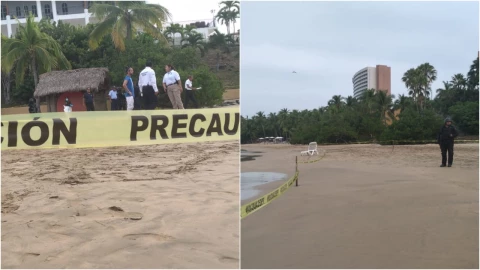 Ataque de cocodrilo Ixtapa Zihuatanejo