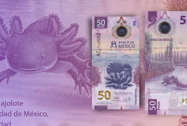 Pagan 1.5 millones de pesos por billete del ajolote ‘serie palíndromo’ .jpg