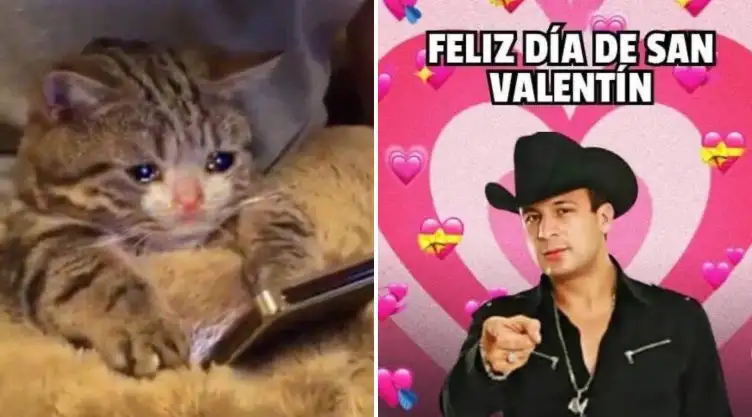 memes-inundan-redes-14-de-febrero.jpg