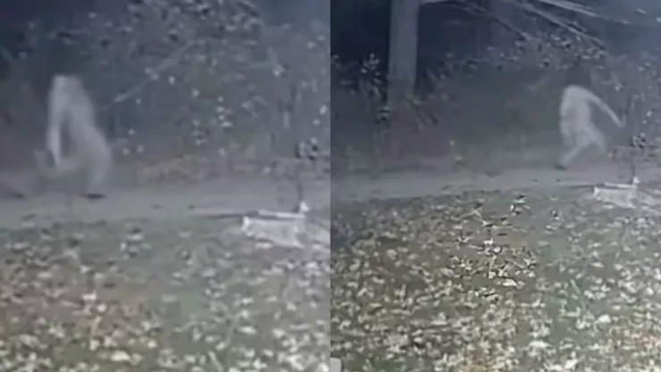 VIDEO Cámara de seguridad capta figura aterradora sin cabeza en medio de la noche; ¿qué es