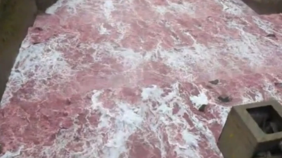 WhatsApp Image 2025-02-05 at 2.52.56 PM.jpeg