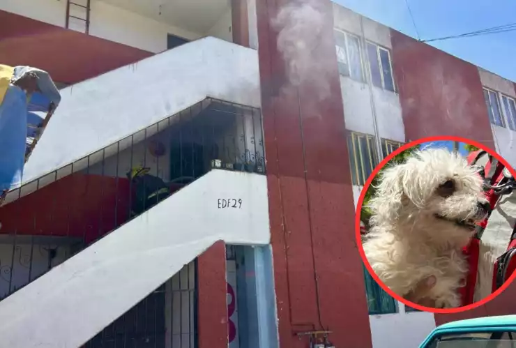 Incendio sauces.jpeg