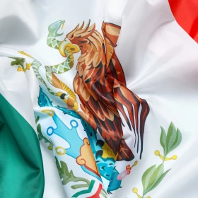 dia de la bandera a quien corresponda.png
