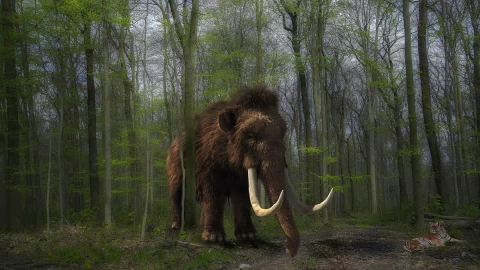 mamut lanudo, Ártico, científicos.jpg