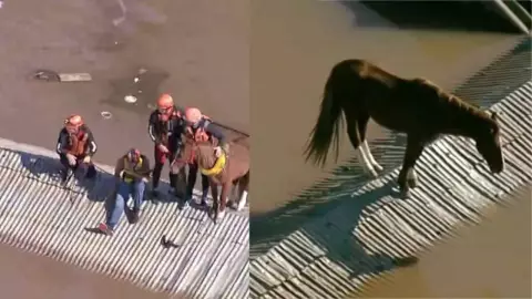 Rescatan a ‘Caramelo’, caballo atrapado en el techo de una casa por inundaciones en Brasil.jpg