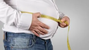 MICROBIOTA INTESTINAL Y OBESIDAD.jpg
