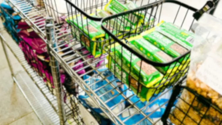 Canasta básica en Guanajuato