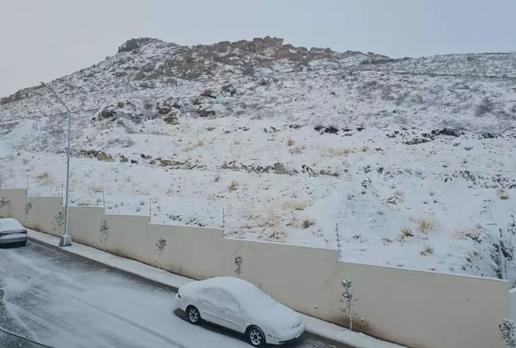 Nieve Chihuahua