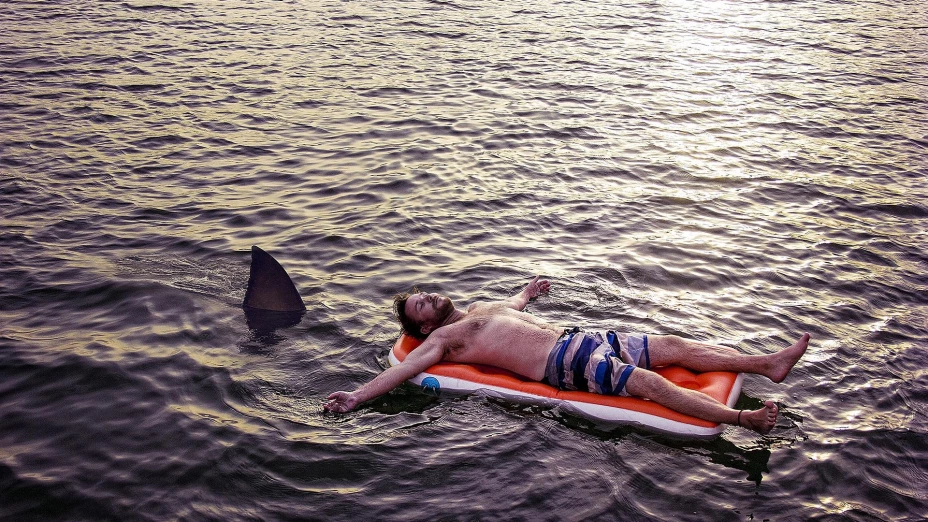 Tiburón ataca a turista estadounidense en las Bahamas; queda con heridas graves