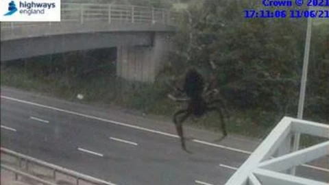 araña cámara de tráfico Reino Unido.jpg