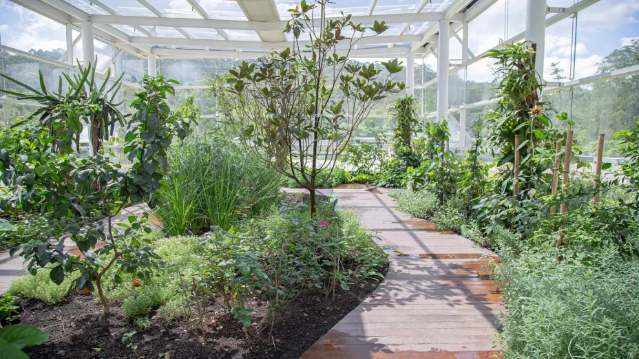 Centro de Innovación.jpg