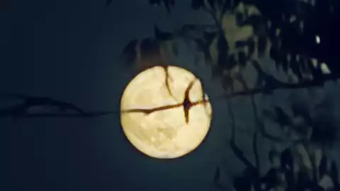 Superluna 2024 Tijuana