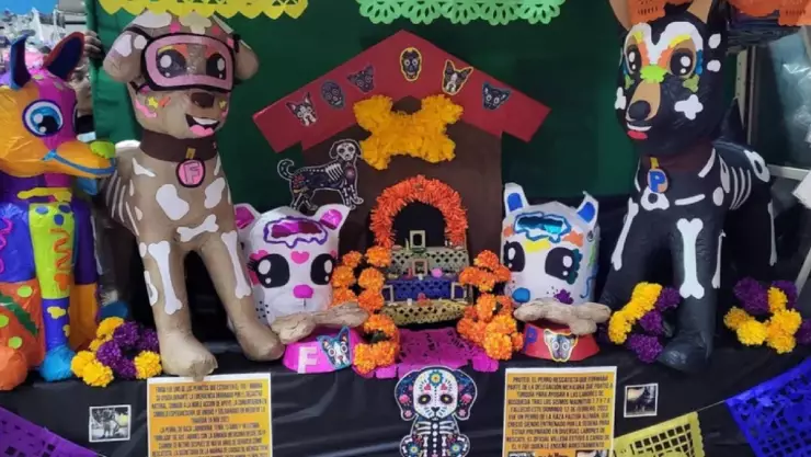 Día de Muertos 2024_ Este día se pone el altar a las mascotas
