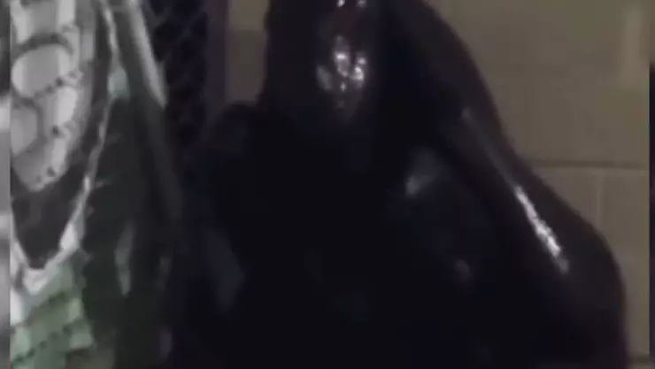 Captan a extraña figura en la avenida Chac Mool de Cancún e internautas lo bautizan como “El Venomón”