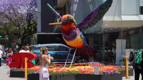 Festival de la Flores y Jardines en CDMX: ¿dónde ver los arreglos futuristas gartis y en qué fechas?