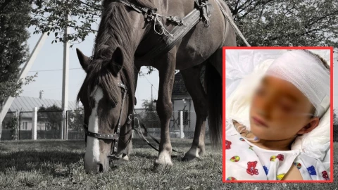 Niño queda grave tras accidente a caballo